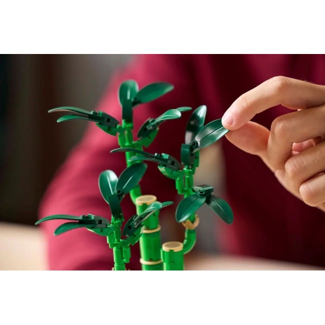 LEGO BOTANICAL COLLECTION: LUCKY BAMBOO LEGO BOTANICAL COLLECTION: LUCKY BAMBOO