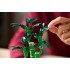 LEGO BOTANICAL COLLECTION: LUCKY BAMBOO LEGO BOTANICAL COLLECTION: LUCKY BAMBOO