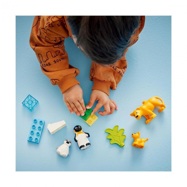 LEGO DUPLO ΟΙΚΟΓΕΝΕΙΕΣ ΑΓΡΙΩΝ ΖΩΩΝ ΠΙΓΚΟΥΙΝΟΙ ΚΑΙ ΛΙΟΝΤΑΡΙΑ LEGO DUPLO ΟΙΚΟΓΕΝΕΙΕΣ ΑΓΡΙΩΝ ΖΩΩΝ ΠΙΓΚΟΥΙΝΟΙ ΚΑΙ ΛΙΟΝΤΑΡΙΑ