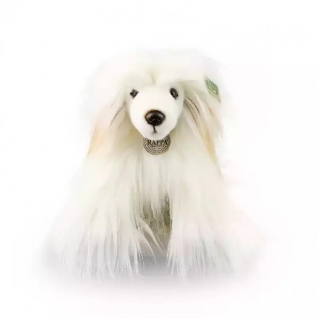 RAPPA ΛΟΥΤΡΙΝΟ ΣΚΥΛΟΣ CHINESE CRESTED 30 ΕΚ ECO-FRIENDLY RAPPA ΛΟΥΤΡΙΝΟ ΣΚΥΛΟΣ CHINESE CRESTED 30 ΕΚ ECO-FRIENDLY