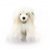RAPPA ΛΟΥΤΡΙΝΟ ΣΚΥΛΟΣ CHINESE CRESTED 30 ΕΚ ECO-FRIENDLY RAPPA ΛΟΥΤΡΙΝΟ ΣΚΥΛΟΣ CHINESE CRESTED 30 ΕΚ ECO-FRIENDLY