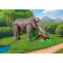 PLAYMOBIL ANIMALS AND FRIENDS ΦΡΟΝΤΙΣΤΗΣ ΖΩΟΛΟΓΙΚΟΥ ΠΑΡΚΟΥ ΜΕ ΕΛΕΦΑΝΤΑ PLAYMOBIL ANIMALS AND FRIENDS ΦΡΟΝΤΙΣΤΗΣ ΖΩΟΛΟΓΙΚΟΥ ΠΑΡΚΟΥ ΜΕ ΕΛΕΦΑΝΤΑ