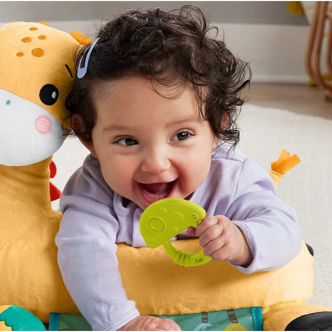 FISHER PRICE MUSHROOM ΖΩΑΚΙΑ ΟΔΟΝΤΟΦΥΙΑΣ FISHER PRICE MUSHROOM ΖΩΑΚΙΑ ΟΔΟΝΤΟΦΥΙΑΣ