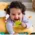 FISHER PRICE MUSHROOM ΖΩΑΚΙΑ ΟΔΟΝΤΟΦΥΙΑΣ FISHER PRICE MUSHROOM ΖΩΑΚΙΑ ΟΔΟΝΤΟΦΥΙΑΣ