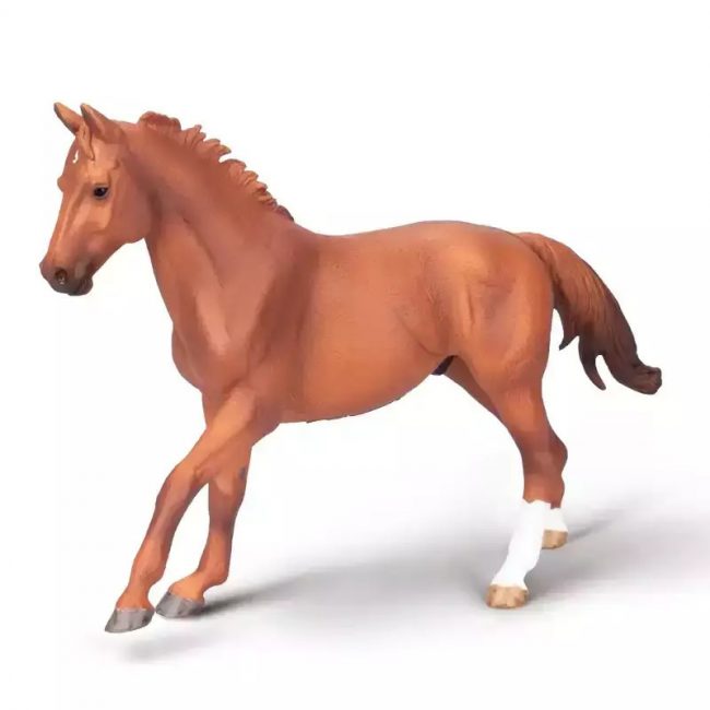 COLLECTA ΦΑΡ ΛΑΠ ΕΠΙΒΗΤΟΡΑΣ ΚΟΥΡΣΑΣΚΑΣΤΑΝΟΚΟΚΚΙΝΟΣ (80017) COLLECTA ΦΑΡ ΛΑΠ ΕΠΙΒΗΤΟΡΑΣ ΚΟΥΡΣΑΣΚΑΣΤΑΝΟΚΟΚΚΙΝΟΣ (80017)