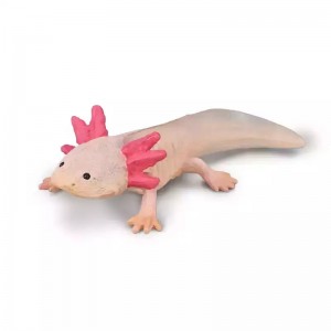 COLLECTA ΑΞΟΤΟΛ ΜΕΞΙΚΑΝΙΚΗ ΣΑΛΑΜΑΝΔΡΑ COLLECTA ΑΞΟΤΟΛ ΜΕΞΙΚΑΝΙΚΗ ΣΑΛΑΜΑΝΔΡΑ