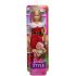 BARBIE ΑΓΙΟΒΑΣΙΛΙΝΑ JLX46 BARBIE ΑΓΙΟΒΑΣΙΛΙΝΑ JLX46