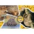 ΠΑΖΛ 104 NATIONAL GEO KIDS-WILDLIFE ADVENTURE ΠΑΖΛ 104 NATIONAL GEO KIDS-WILDLIFE ADVENTURE