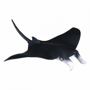 COLLECTA ΣAΛΑΧΙ COLLECTA ΣAΛΑΧΙ