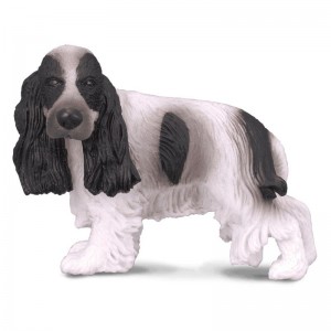 COLLECTA ΣΚΥΛΟΣ ENGLISH COCKER SPANIE COLLECTA ΣΚΥΛΟΣ ENGLISH COCKER SPANIE
