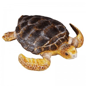 COLLECTA ΧΕΛΩΝΑ COLLECTA ΧΕΛΩΝΑ