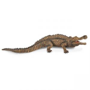COLLECTA ΔΕΙΝΟΣΑΥΡΟΣ SARCOSUCHUS COLLECTA ΔΕΙΝΟΣΑΥΡΟΣ SARCOSUCHUS