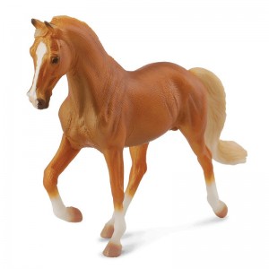 COLLECTA ΕΠΙΒΗΤΟΡΑΣ ΠΑΛΟΜΙΛΟ ΤΕΝΝΕΣΙ ΠΕΡΠΑΤΑΕΙ COLLECTA ΕΠΙΒΗΤΟΡΑΣ ΠΑΛΟΜΙΛΟ ΤΕΝΝΕΣΙ ΠΕΡΠΑΤΑΕΙ
