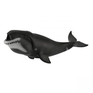 COLLECTA ΦΑΛΑΙΝΑ ΤΗΣ ΓΡΟΙΛΑΝΔΙΑΣ COLLECTA ΦΑΛΑΙΝΑ ΤΗΣ ΓΡΟΙΛΑΝΔΙΑΣ