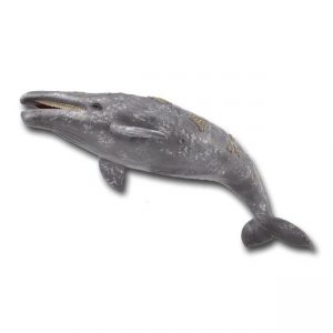 COLLECTA ΓΚΡΙΖΑ ΦΑΛΑΙΝΑ