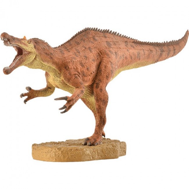 COLLECTA ΒΑΡΥΟΝΥΧΑΣ ΜΕ ΚΙΝΟΥΜΕΝΟ ΣΤΟΜΑ COLLECTA ΒΑΡΥΟΝΥΧΑΣ ΜΕ ΚΙΝΟΥΜΕΝΟ ΣΤΟΜΑ