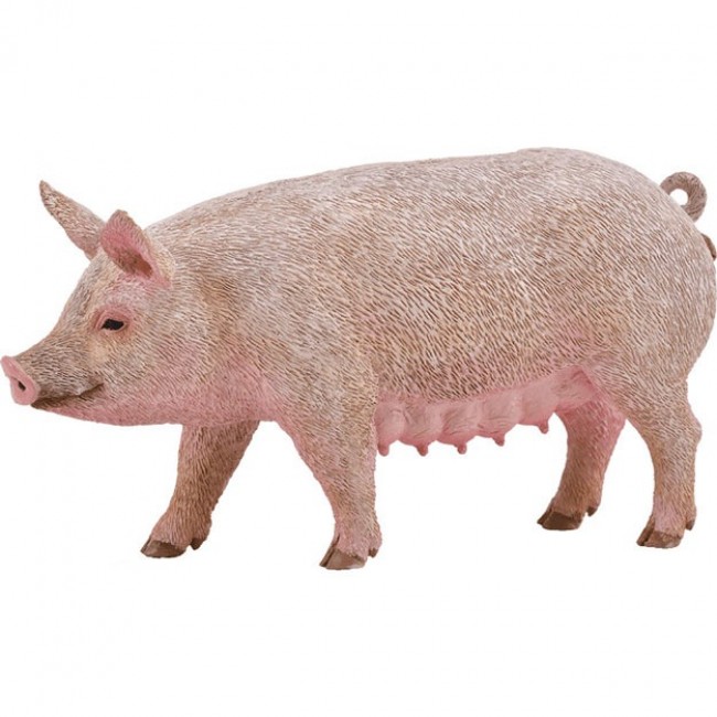 COLLECTA ΓΟΥΡΟΥΝΑ
