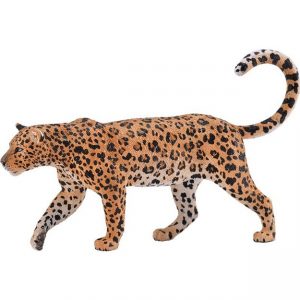 COLLECTA ΑΦΡΙΚΑΝΙΚΗ ΛΕΟΠΑΡΔΑΛΗ COLLECTA ΑΦΡΙΚΑΝΙΚΗ ΛΕΟΠΑΡΔΑΛΗ