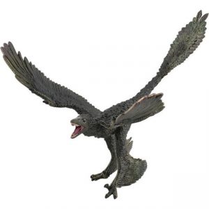 COLLECTA ΜΙΚΡΟΡΑΠΤΟΡΑΣ COLLECTA ΜΙΚΡΟΡΑΠΤΟΡΑΣ