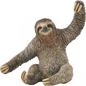 COLLECTA ΒΡΑΔΥΠΟΔΑΣ COLLECTA ΒΡΑΔΥΠΟΔΑΣ