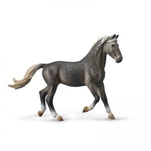 COLLECTA ΟΡΙΟΛ ΦΟΡΑΔΑ ΣΚΟΥΡΟΧΡΩΜΗ ΓΚΡΙ COLLECTA ΟΡΙΟΛ ΦΟΡΑΔΑ ΣΚΟΥΡΟΧΡΩΜΗ ΓΚΡΙ