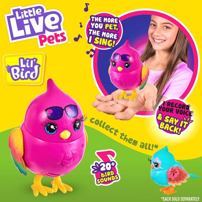 LITTLE LIVE PETS ΠΟΥΛΑΚΙ COCORITOS S3 ΔΙΑΦΟΡΑ ΣΧΕΔΙΑ 1 ΤΕΜΑΧΙΟ LITTLE LIVE PETS ΠΟΥΛΑΚΙ COCORITOS S3 ΔΙΑΦΟΡΑ ΣΧΕΔΙΑ 1 ΤΕΜΑΧΙΟ
