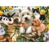 ΠΑΖΛ RAVENSBURGER 300XXL ΤΕΜ. ΧΑΡΟΥΜΕΝΑ ΖΩΑΚΙΑ ΠΑΖΛ RAVENSBURGER 300XXL ΤΕΜ. ΧΑΡΟΥΜΕΝΑ ΖΩΑΚΙΑ