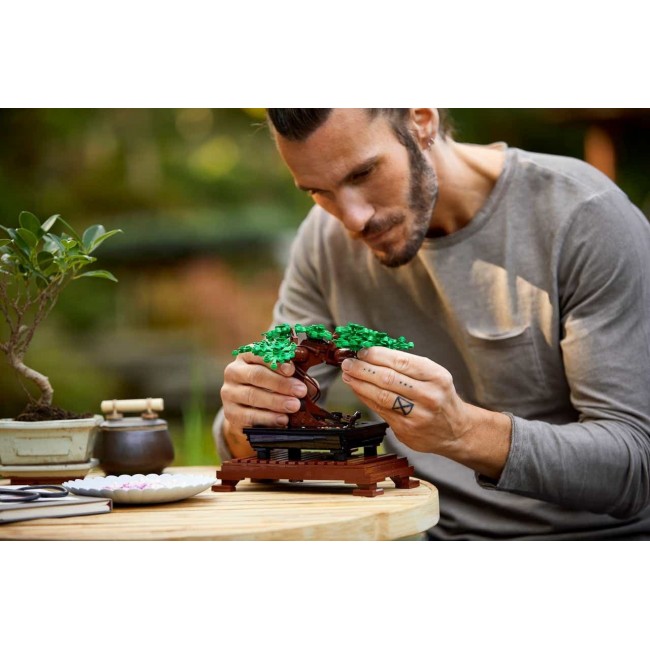 LEGO BOTANICAL COLLECTION BONSAI TREE LEGO BOTANICAL COLLECTION BONSAI TREE