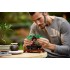LEGO BOTANICAL COLLECTION BONSAI TREE LEGO BOTANICAL COLLECTION BONSAI TREE