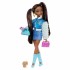 BARBIE DREAM BESTIES BROOKLYN BARBIE DREAM BESTIES BROOKLYN