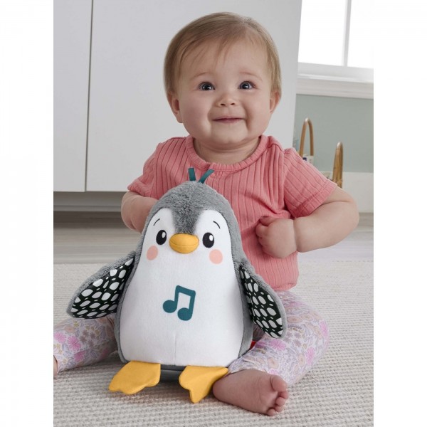 ΠΙΓΚΟΥΙΝΑΚΙ FISHER PRICE ΜΟΥΣΙΚΟ ΜΕ ΚΙΝΗΣΗ
