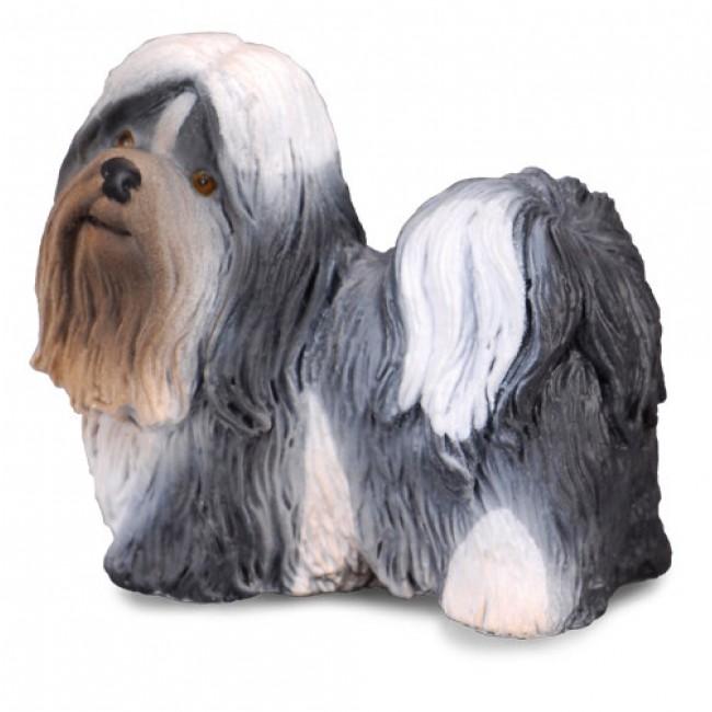 COLLECTA ΣΚΥΛΟΣ SHIU TZU COLLECTA ΣΚΥΛΟΣ SHIU TZU