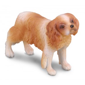 COLLECTA ΣΚΥΛΟΣ SPANIEL