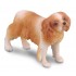 COLLECTA ΣΚΥΛΟΣ SPANIEL COLLECTA ΣΚΥΛΟΣ SPANIEL