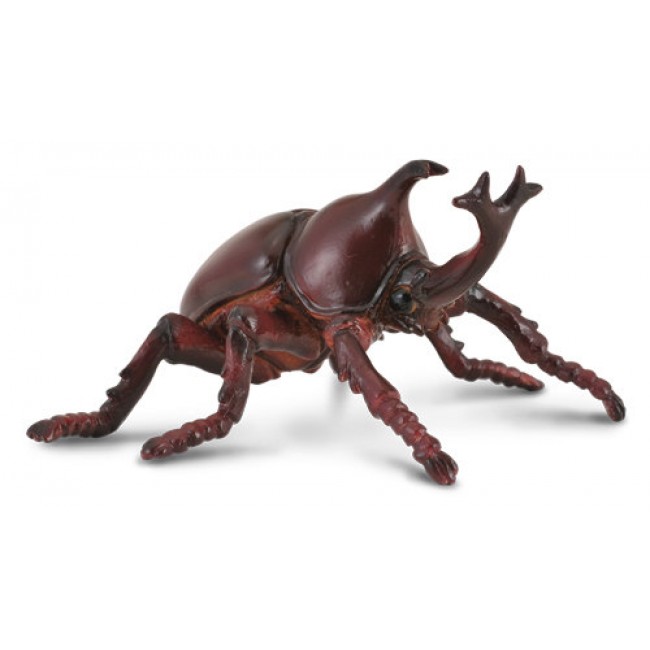 COLLECTA ΣΚΑΘΑΡΙ ΡΙΝΟΚΕΡΟΣ COLLECTA ΣΚΑΘΑΡΙ ΡΙΝΟΚΕΡΟΣ