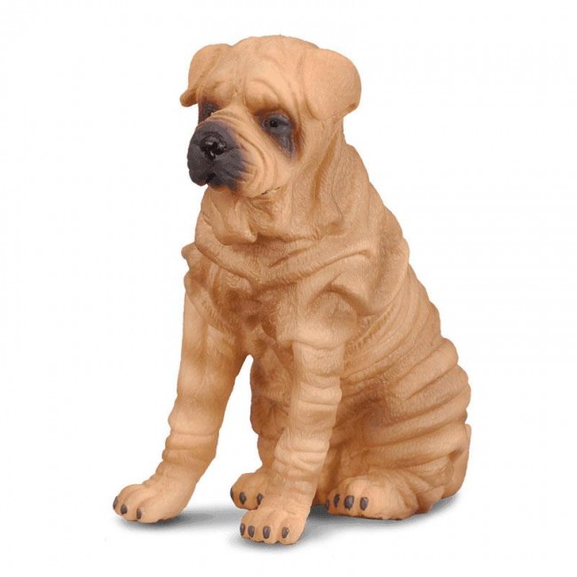 COLLECTA ΣΚΥΛΟΣ SHAR PEI