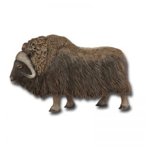 COLLECTA ΜΟΣΧΟΒΟΥΣ L. COLLECTA ΜΟΣΧΟΒΟΥΣ L.