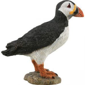 COLLECTA ΠΑΦΙΝ ΦΡΑΤΕΡΚΟΥΛΑ COLLECTA ΠΑΦΙΝ ΦΡΑΤΕΡΚΟΥΛΑ