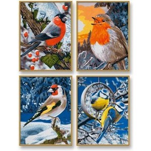 ΣΕΤ ΖΩΓΡΑΦΙΚΗΣ MALEN NACH ZAHLEN WINTER BIRDS ΣΕΤ ΖΩΓΡΑΦΙΚΗΣ MALEN NACH ZAHLEN WINTER BIRDS