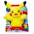POKEMON ΛΟΥΤΡΙΝΟ 25CM ΜΕ ΗΧΟ ΚΑΙ ΦΩΣ POKEMON ΛΟΥΤΡΙΝΟ 25CM ΜΕ ΗΧΟ ΚΑΙ ΦΩΣ