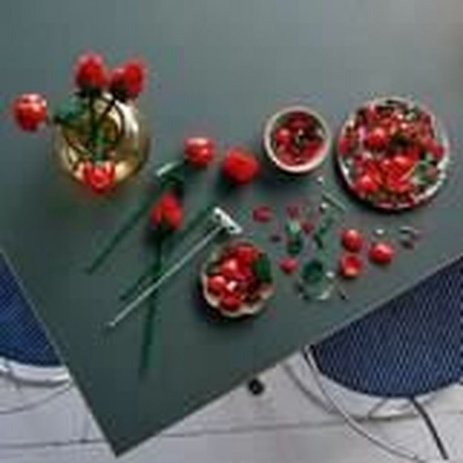 LEGO BOTANICAL GARDEN BOUQUET OF ROSES LEGO BOTANICAL GARDEN BOUQUET OF ROSES
