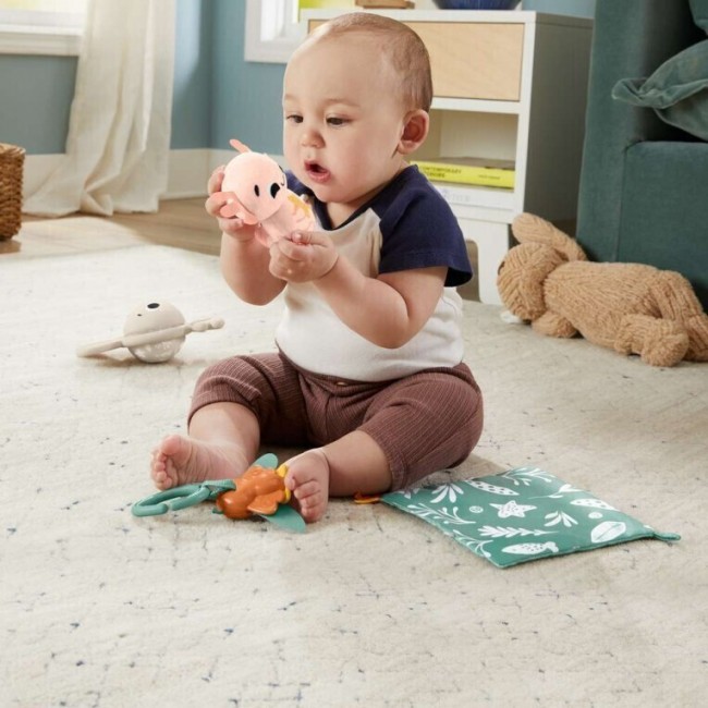 FISHER PRICE SENSIMALS - ΣΕΤ ΔΩΡΟΥ FISHER PRICE SENSIMALS - ΣΕΤ ΔΩΡΟΥ