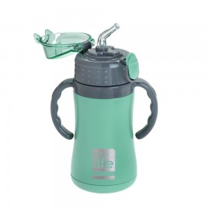ECO LIFE ΠΑΓΟΥΡΙ ΘΕΡΜΟΣ ΜΕΤΑΛΛΙΚΟ 300ML ΜΕΝΤΑ 33-BO-2991 ECO LIFE ΠΑΓΟΥΡΙ ΘΕΡΜΟΣ ΜΕΤΑΛΛΙΚΟ 300ML ΜΕΝΤΑ 33-BO-2991