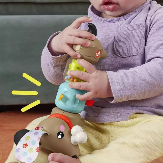 FISHER PRICE CLICK & SPIN ΣΚΥΛΑΚΙ ΔΡΑΣΤΗΡΙΟΤΗΤΩΝ FISHER PRICE CLICK & SPIN ΣΚΥΛΑΚΙ ΔΡΑΣΤΗΡΙΟΤΗΤΩΝ
