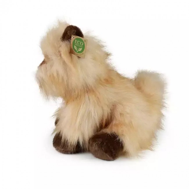 RAPPA ΛΟΎΤΡΙΝΟ ΣΚΥΛΟΣ CAIRN TERRIER 30 ΕΚ. ECO-FRIENDLY RAPPA ΛΟΎΤΡΙΝΟ ΣΚΥΛΟΣ CAIRN TERRIER 30 ΕΚ. ECO-FRIENDLY