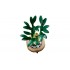 LEGO BOTANICAL COLLECTION: LUCKY BAMBOO LEGO BOTANICAL COLLECTION: LUCKY BAMBOO