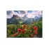 RAVENSBURGER PUZZLE 2000TEM. ΒΟΥΝΑ RAVENSBURGER PUZZLE 2000TEM. ΒΟΥΝΑ