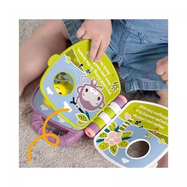 FISHER PRICE ΜΟΥΣΙΚΟ ΒΙΒΛΙΑΡΑΚΙ ΜΑΪΜΟΥΔΑΚΙ (JFN07) FISHER PRICE ΜΟΥΣΙΚΟ ΒΙΒΛΙΑΡΑΚΙ ΜΑΪΜΟΥΔΑΚΙ (JFN07)