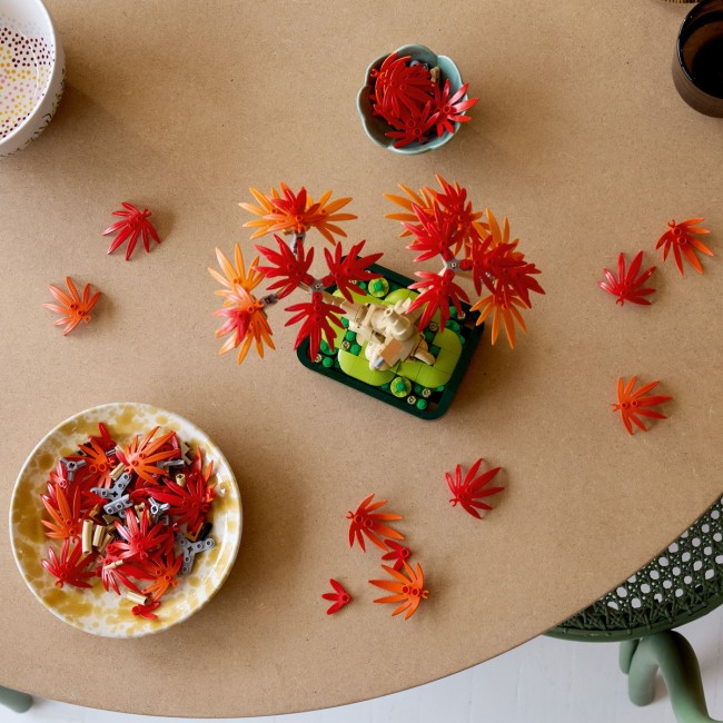 LEGO BOTANICALS ΜΠΟΝΣΑΙ ΚΟΚΚΙΝΟΣ ΙΑΠΩΝΙΚΟΣ ΣΦΕΝΔΑΜΟΣ (10348) LEGO BOTANICALS ΜΠΟΝΣΑΙ ΚΟΚΚΙΝΟΣ ΙΑΠΩΝΙΚΟΣ ΣΦΕΝΔΑΜΟΣ (10348)