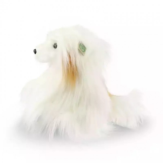 RAPPA ΛΟΥΤΡΙΝΟ ΣΚΥΛΟΣ CHINESE CRESTED 30 ΕΚ ECO-FRIENDLY RAPPA ΛΟΥΤΡΙΝΟ ΣΚΥΛΟΣ CHINESE CRESTED 30 ΕΚ ECO-FRIENDLY